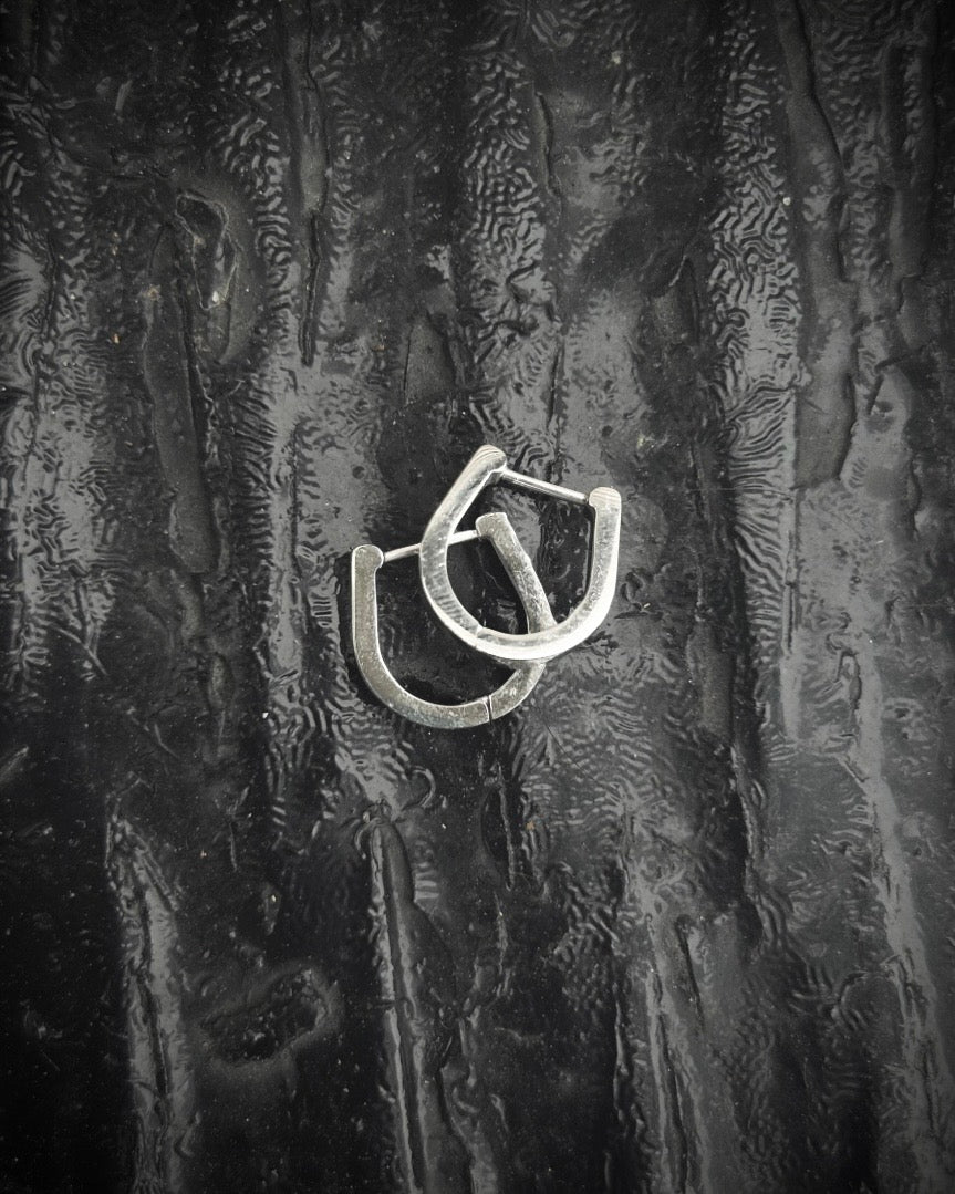 Horseshoe Hinged Hoop Earrings
