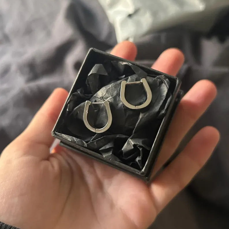 Horseshoe Hinged Hoop Earrings