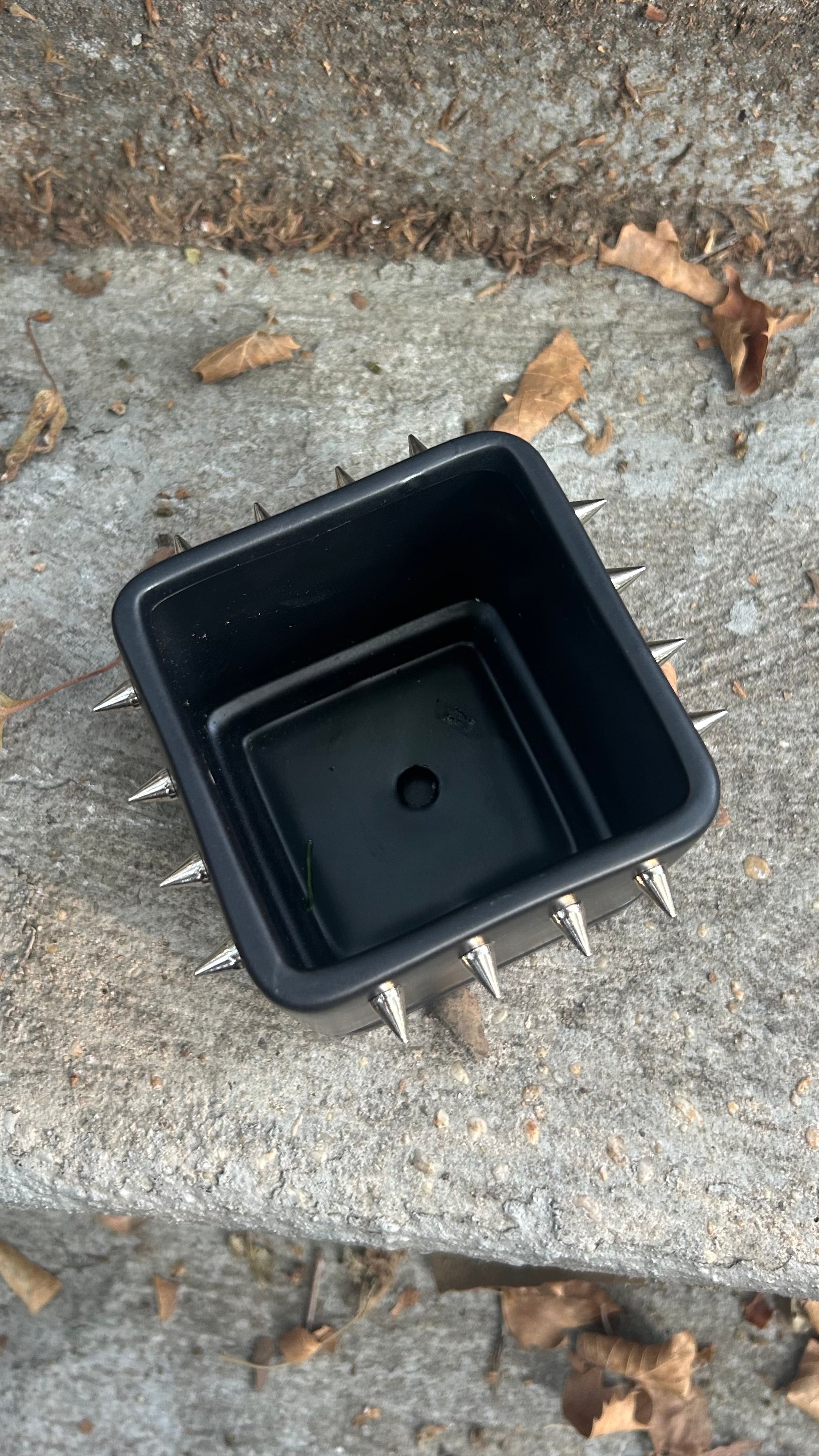 Baby Spiked Planter