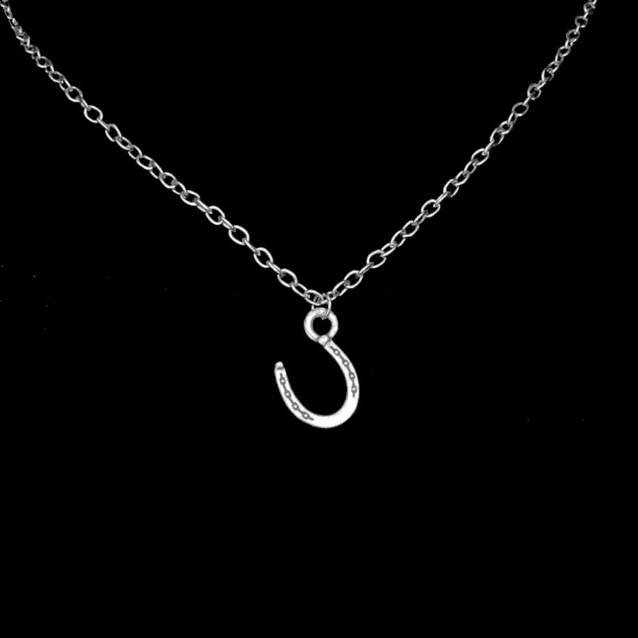 Silver necklace with a horseshoe charm