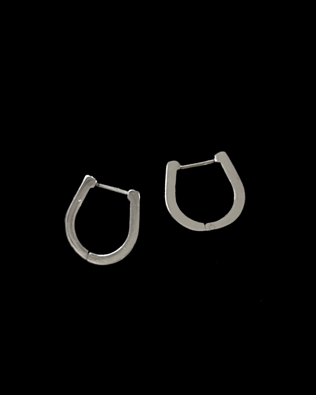 Horseshoe Hinged Hoop Earrings