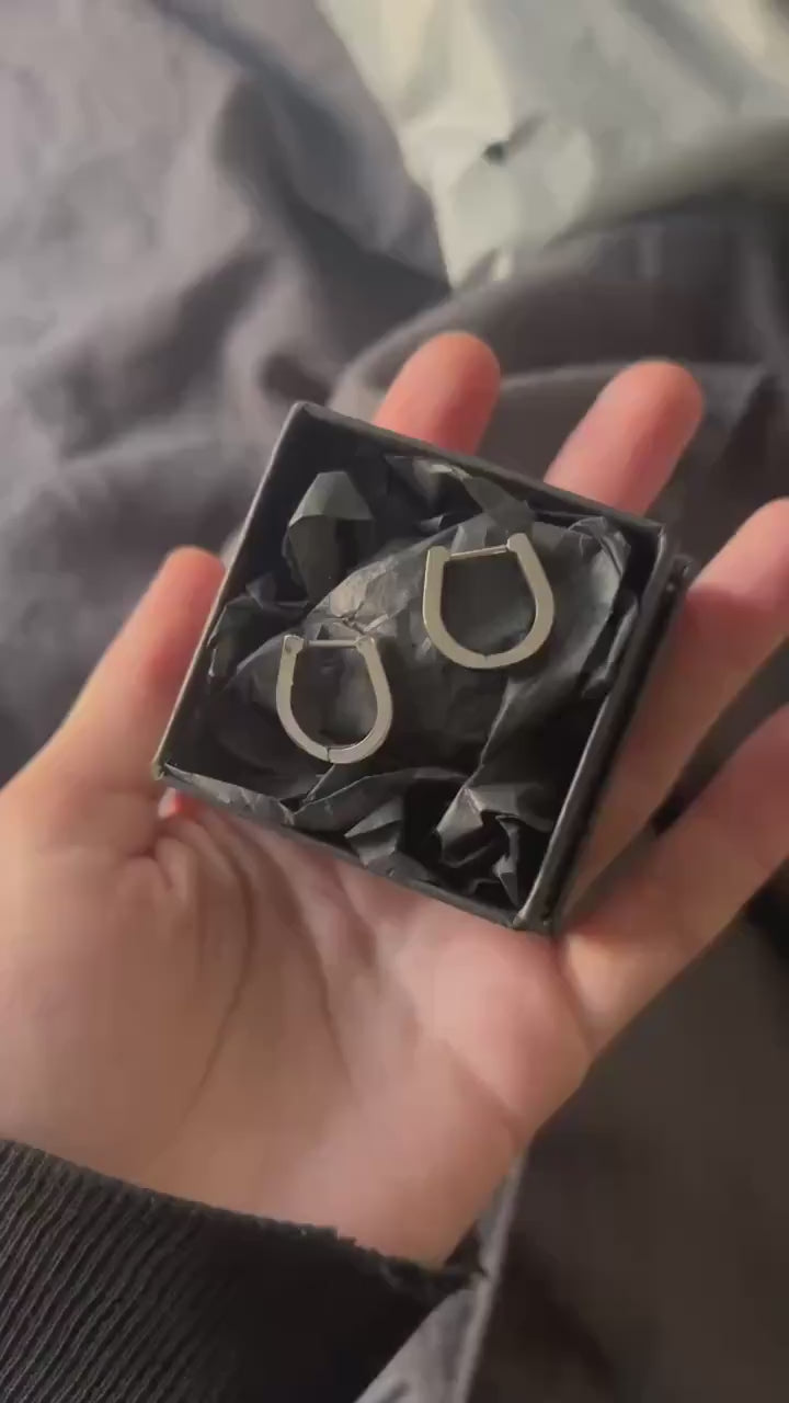 Horseshoe Hinged Hoop Earrings